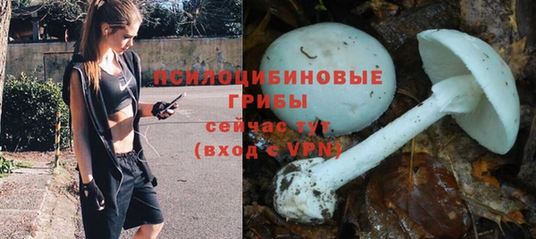 хмурый Алексеевка
